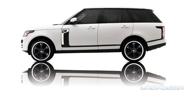 Range Rover Strut